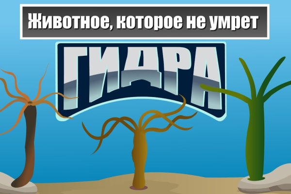 Кракен это современный маркетплейс