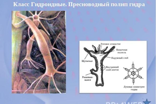 Ссылка кракен официальная тор