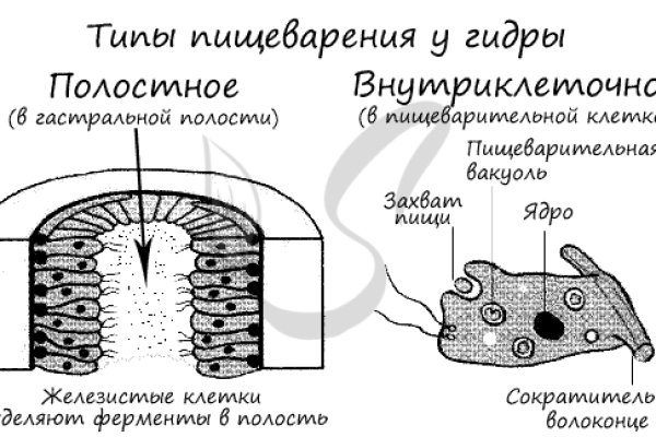 Kraken 12 at сайт